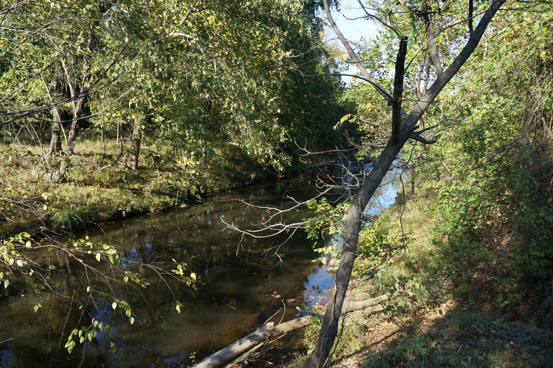 Northeast Heights view 3