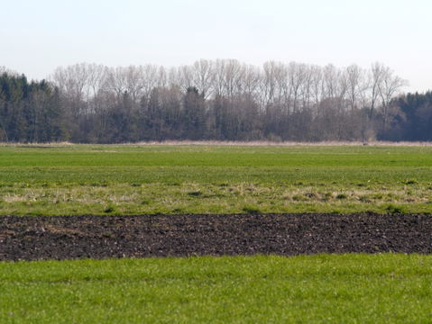 Aubing-Lochhausen-Langwied view 3