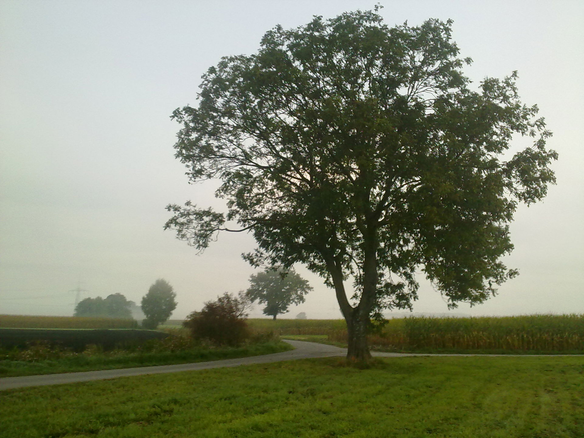Aubing-Lochhausen-Langwied view 4