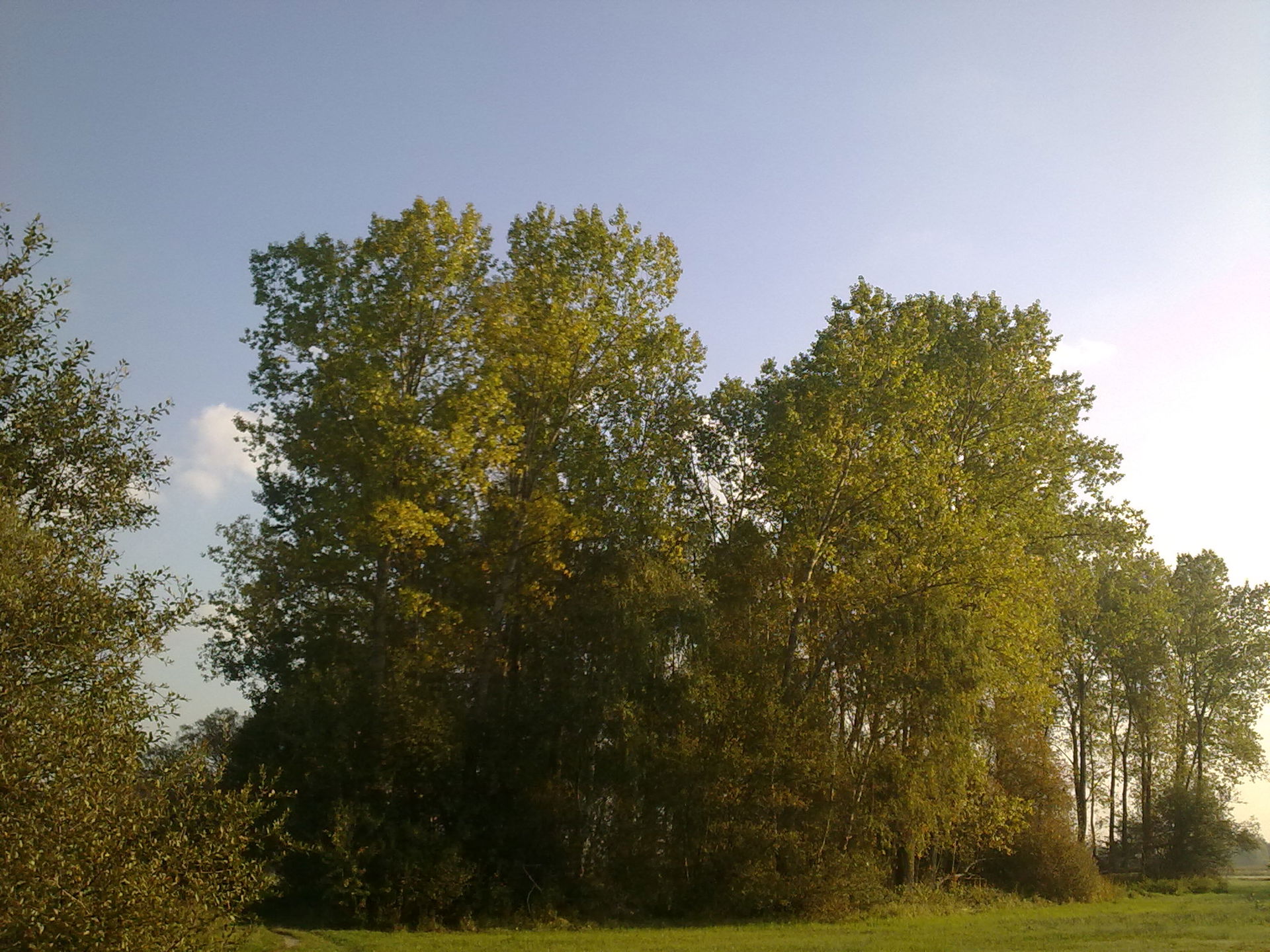 Aubing-Lochhausen-Langwied view 5