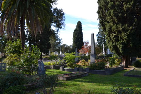 City of Sacramento view 1