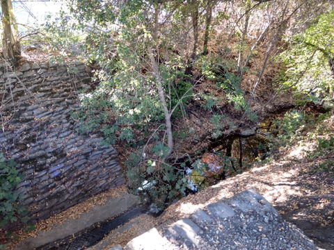 Los Altos view 1