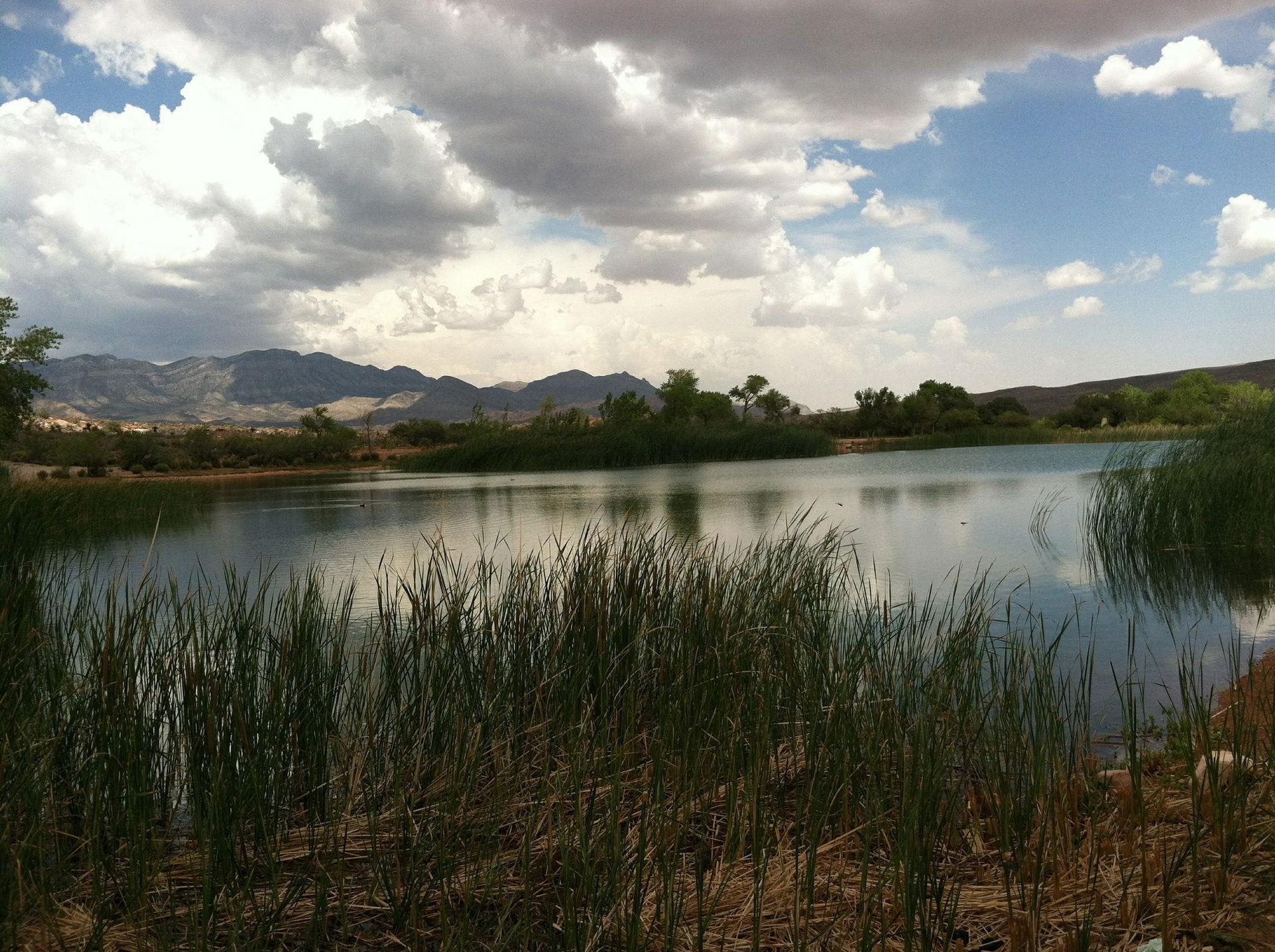 Red Mountain Ranch view 3