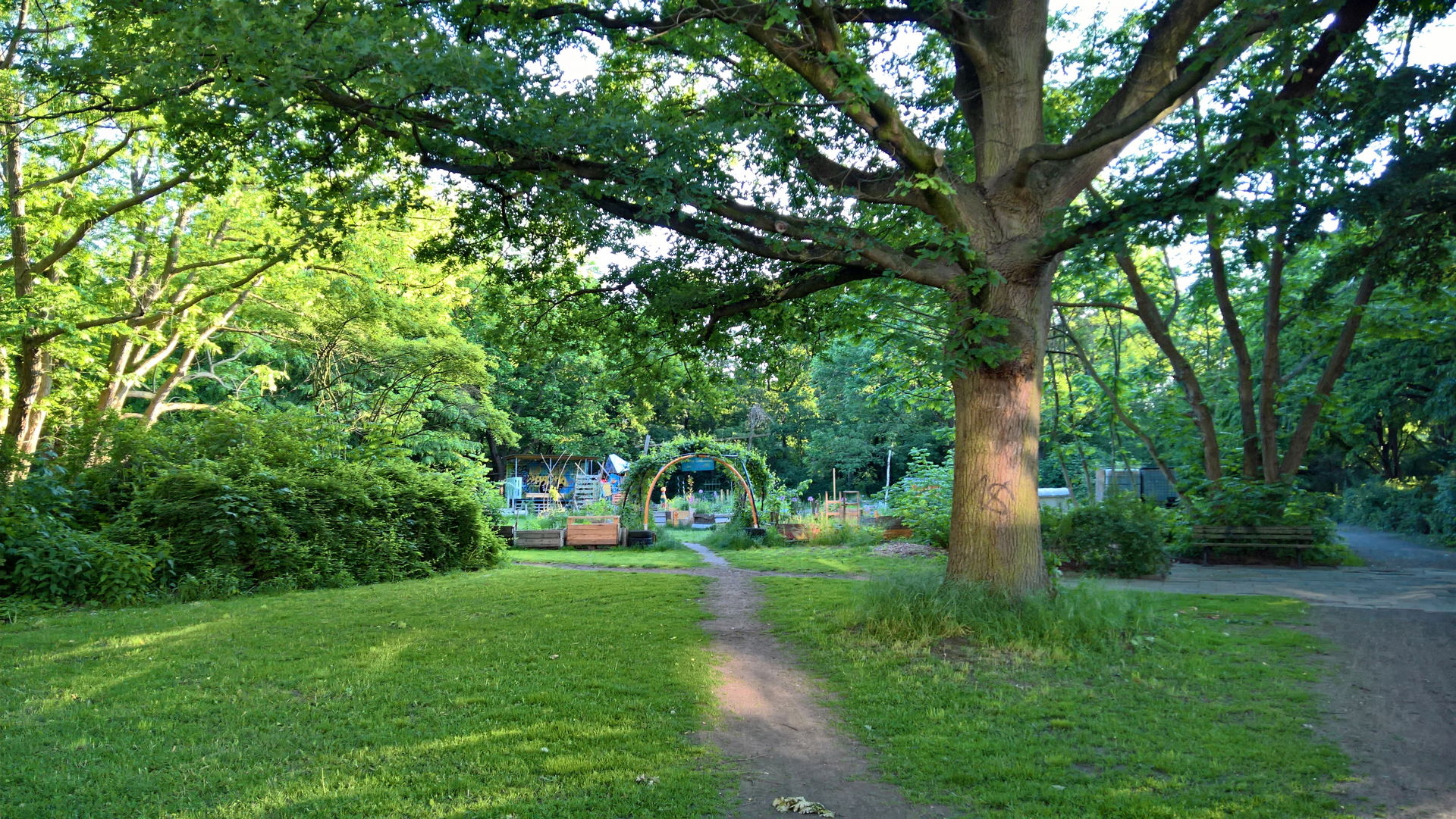 Linden-Nord view 2