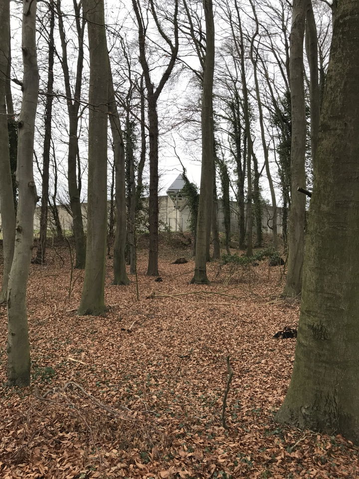 Brackwede district