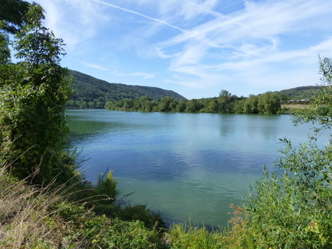 Moselweiß view 1
