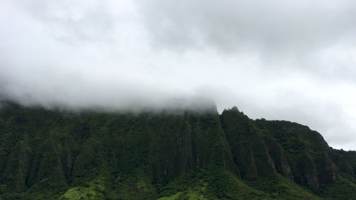 Honolulu County district