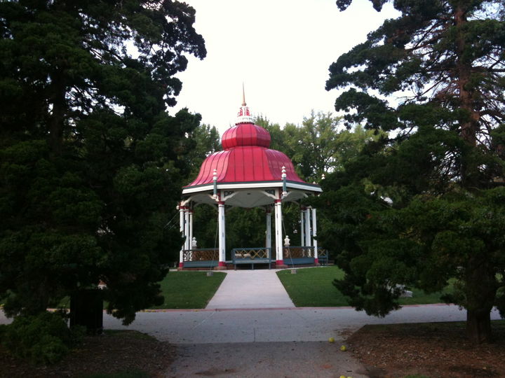 Tower Grove district