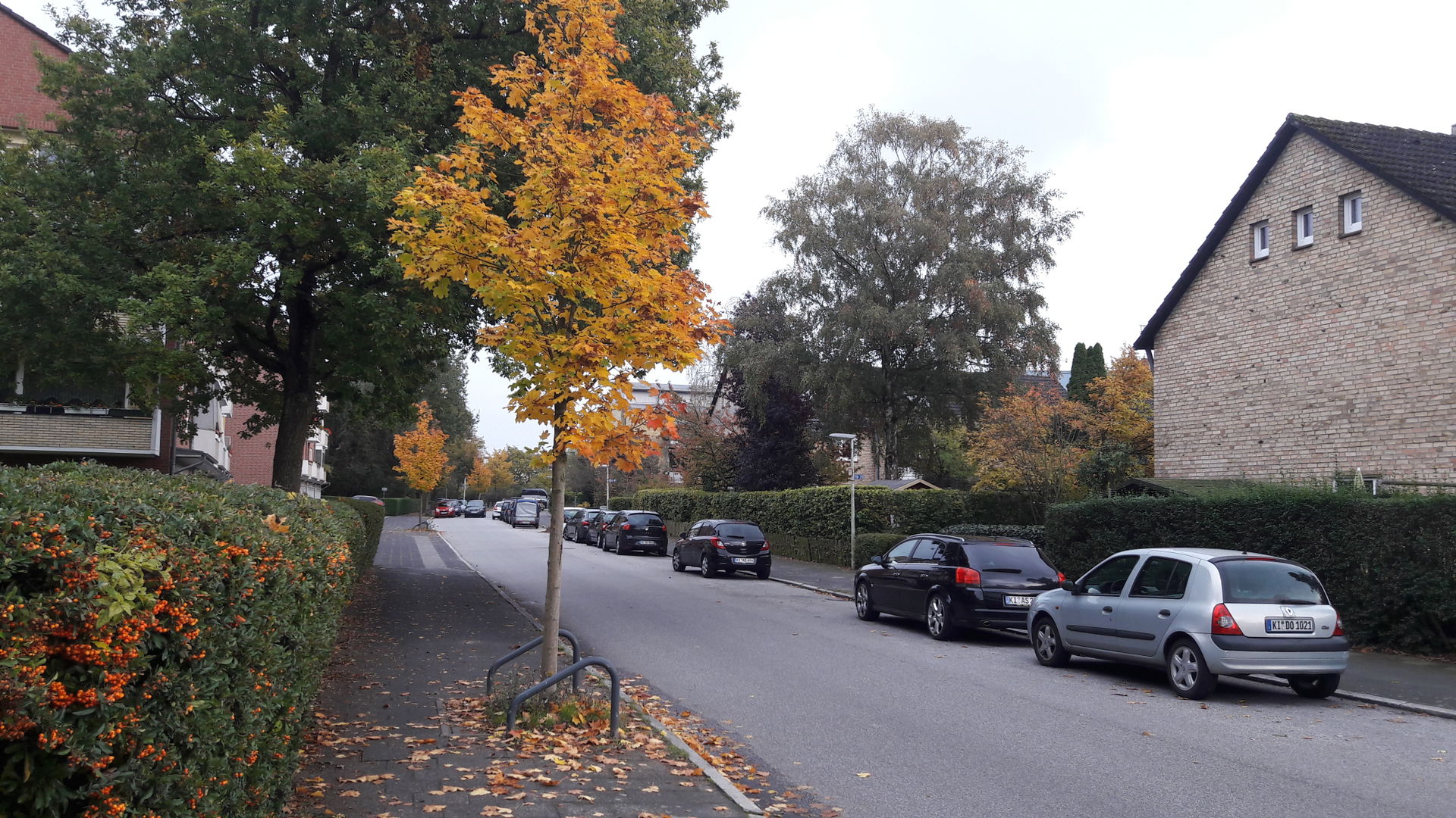 Hassee view 4