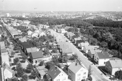 Ellerbek view 3