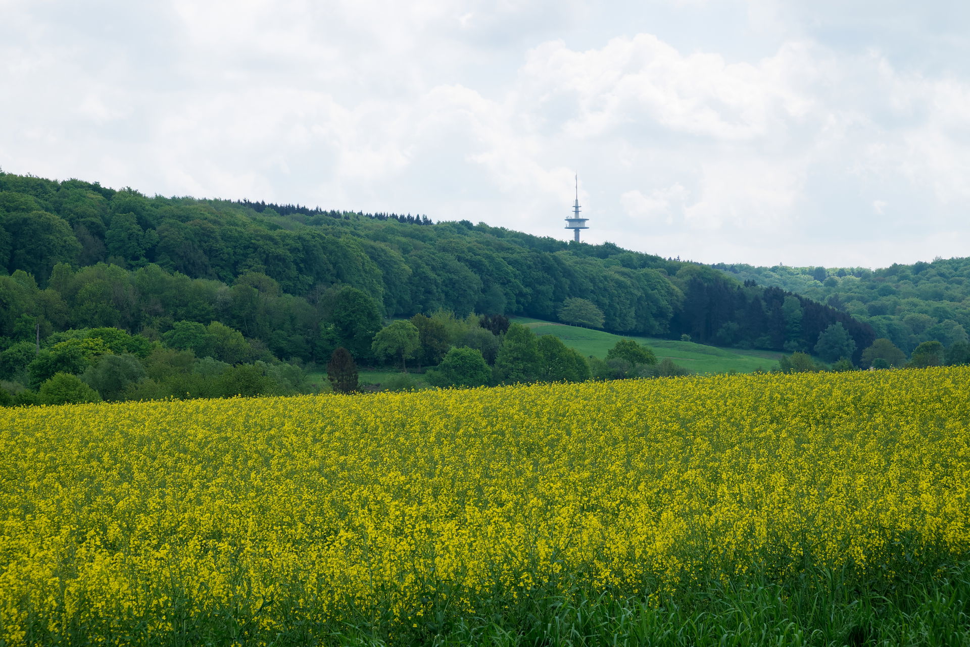 Laurensberg view 2