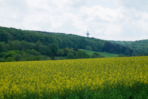 Laurensberg view 2