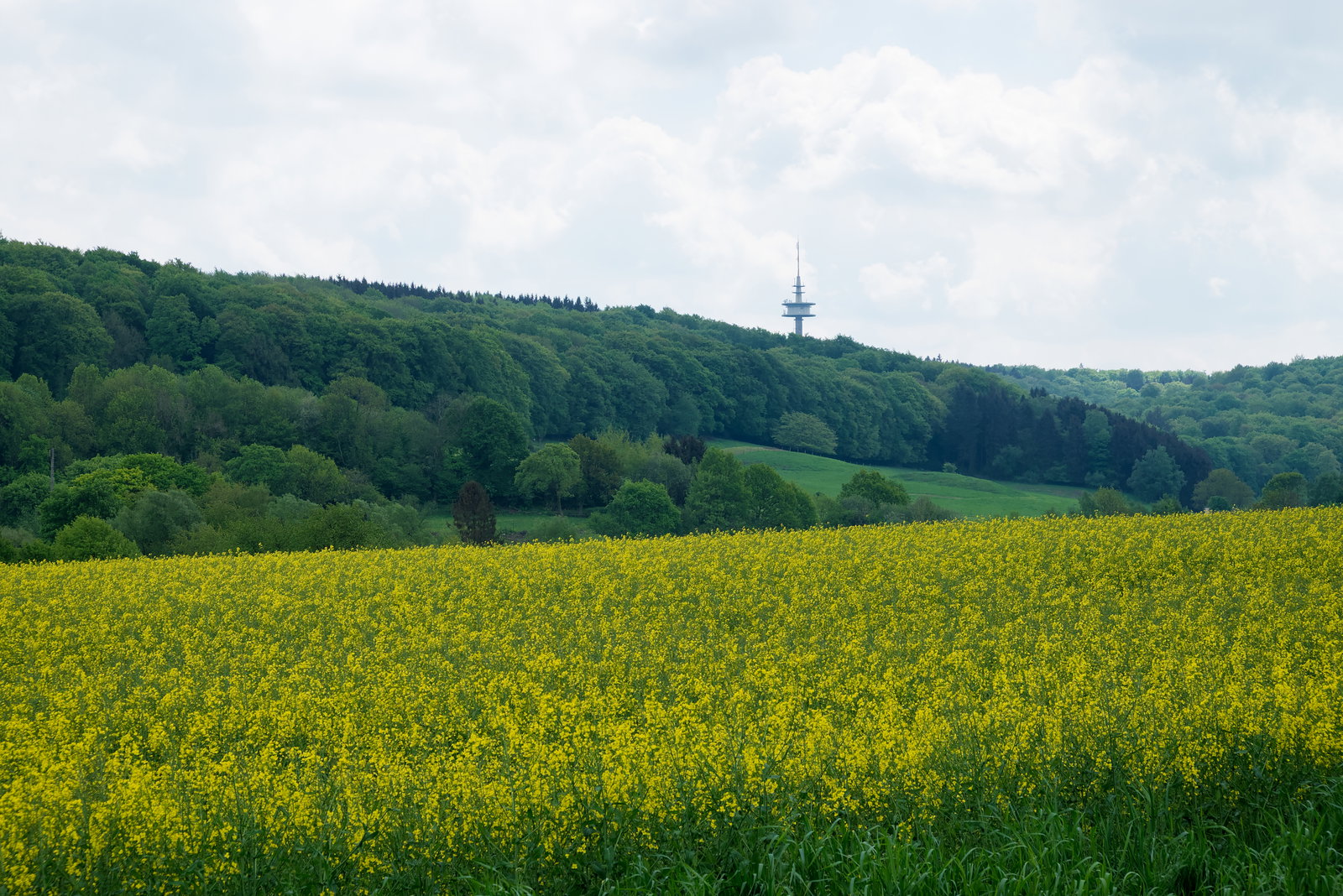 Laurensberg district