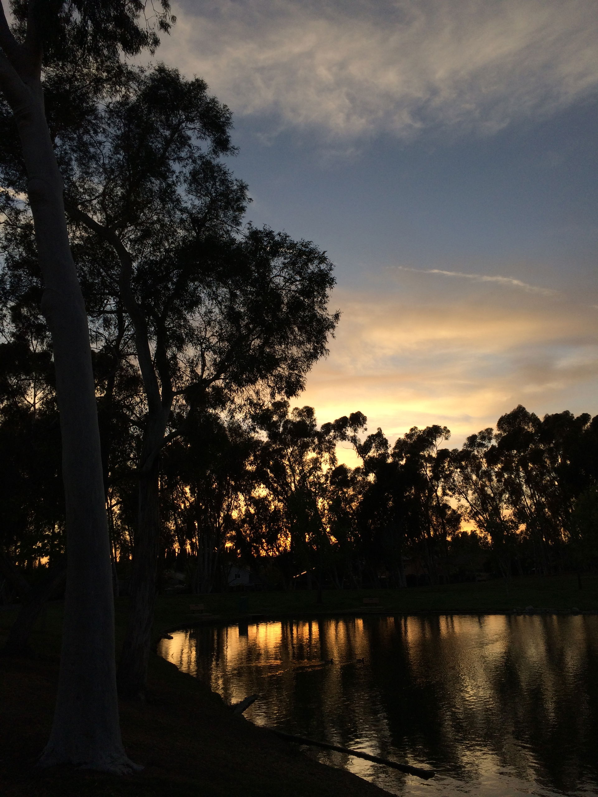 Orange County view 3
