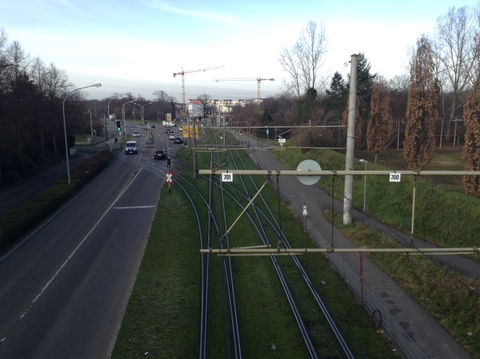 Rieselfeld view 1