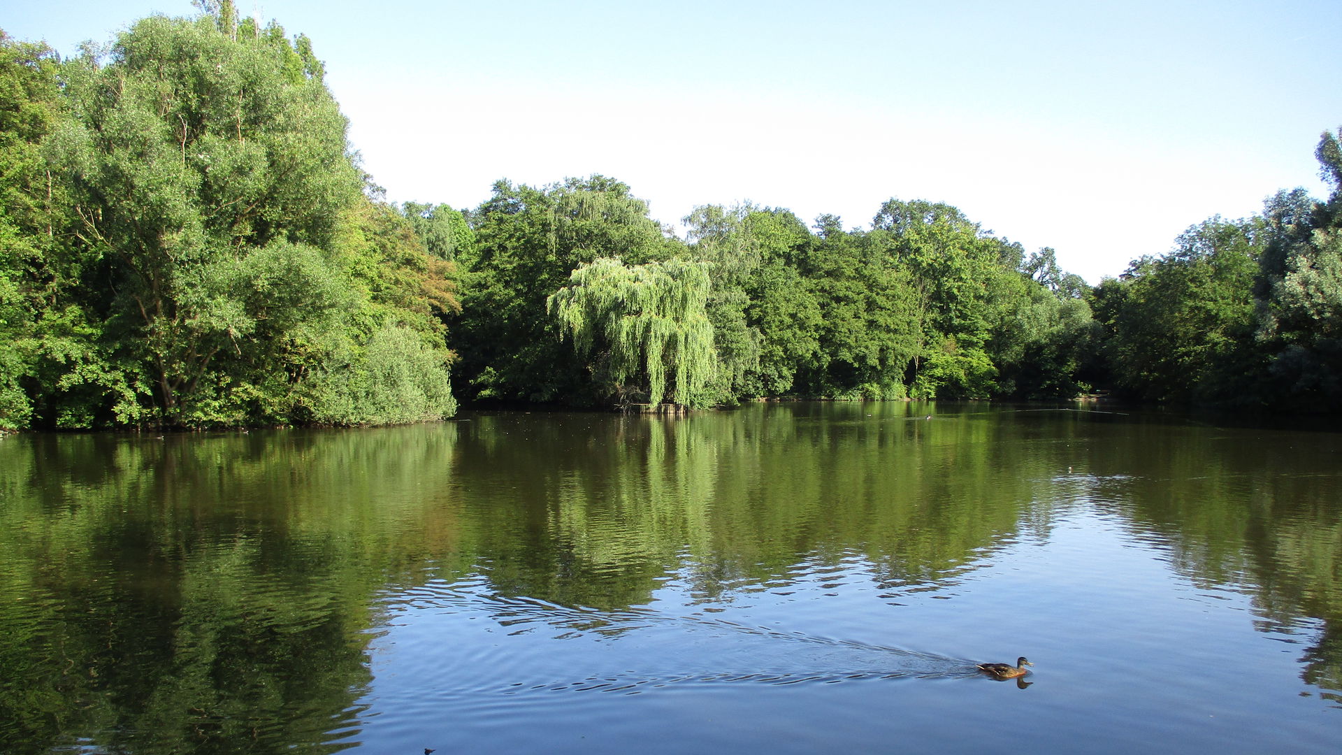 Sterkrade view 5