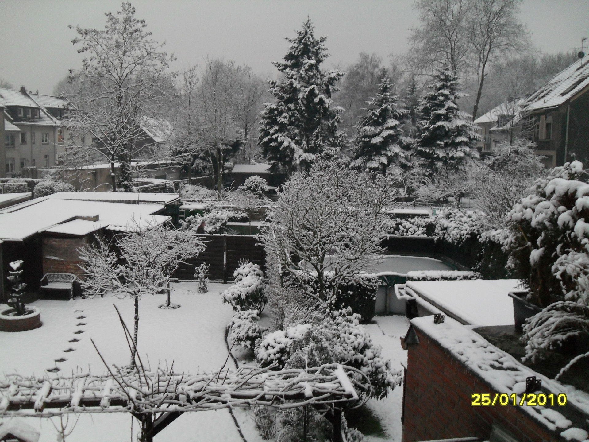 Lirich view 3