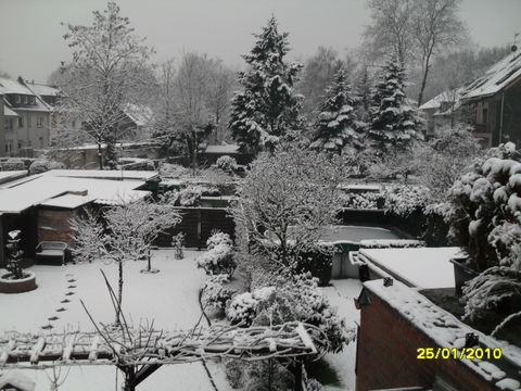 Lirich view 3