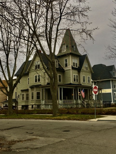 Buffalo Common Council Districts view 2