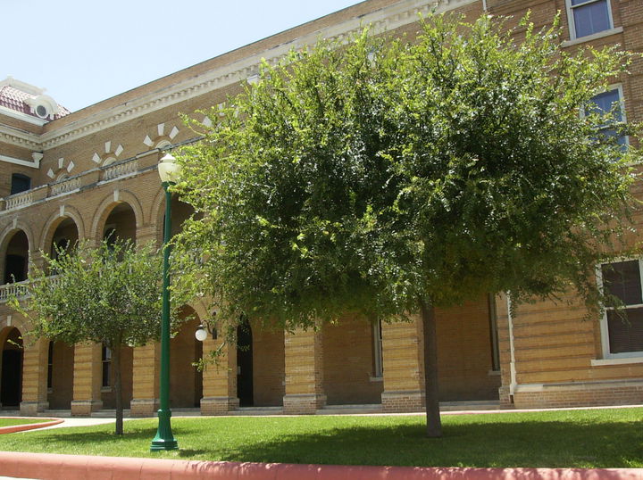 Webb County district