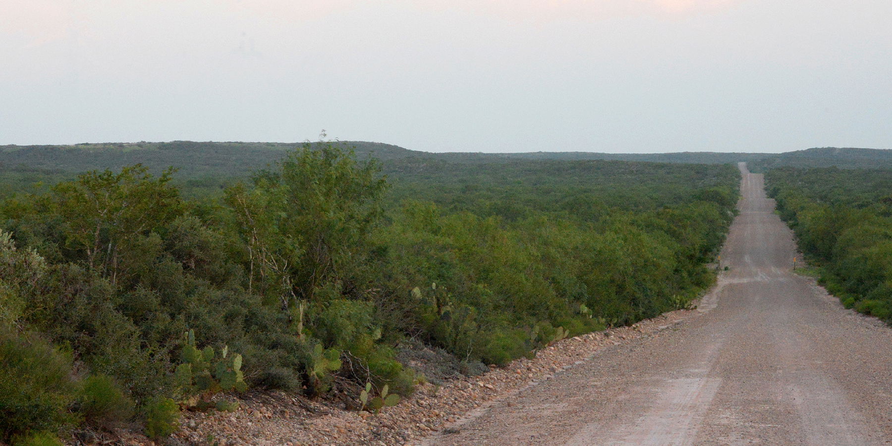 Webb County view 4