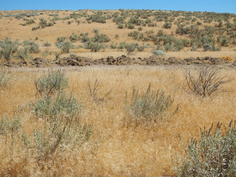 Southeast Boise view 1