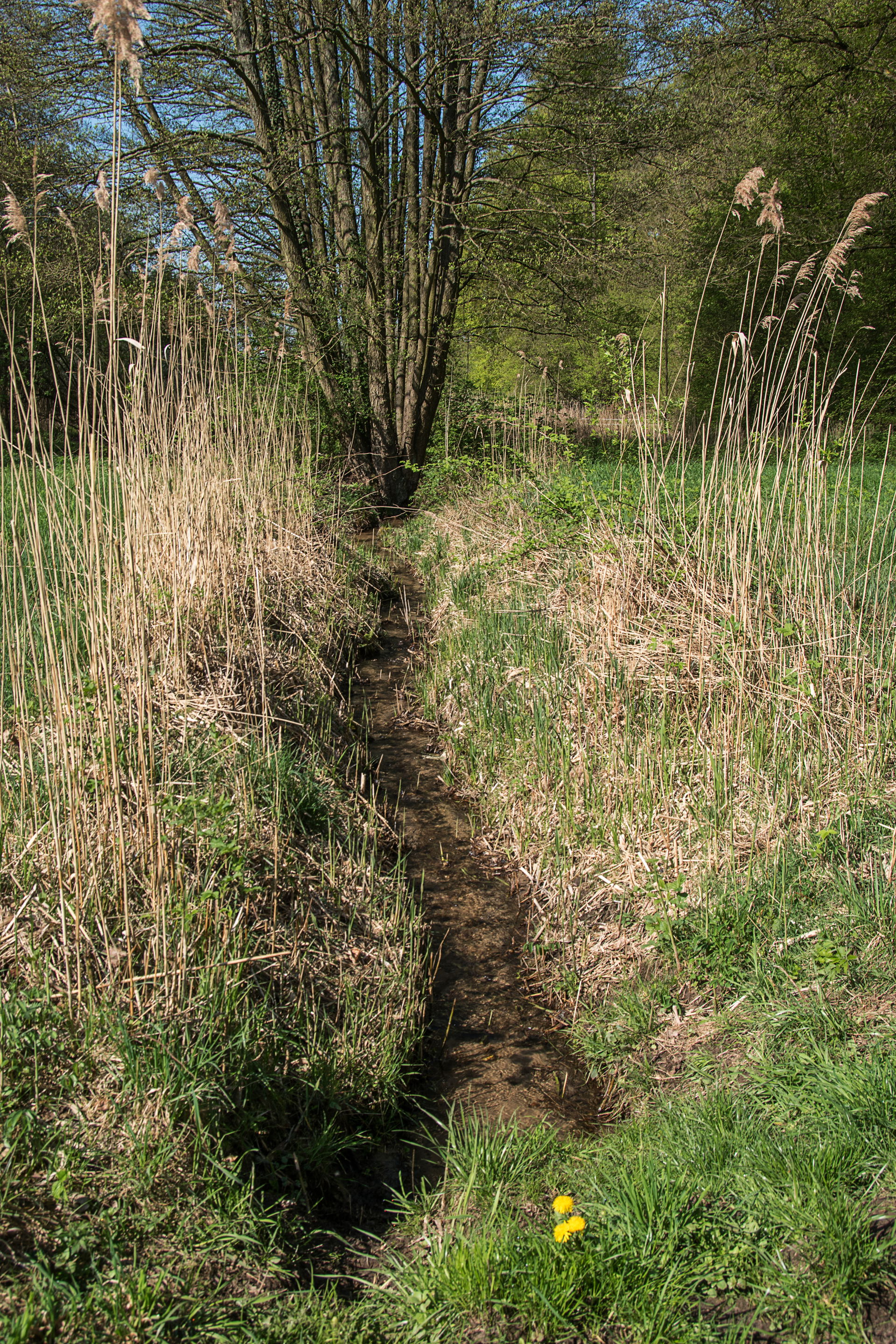 Eberstadt view 5