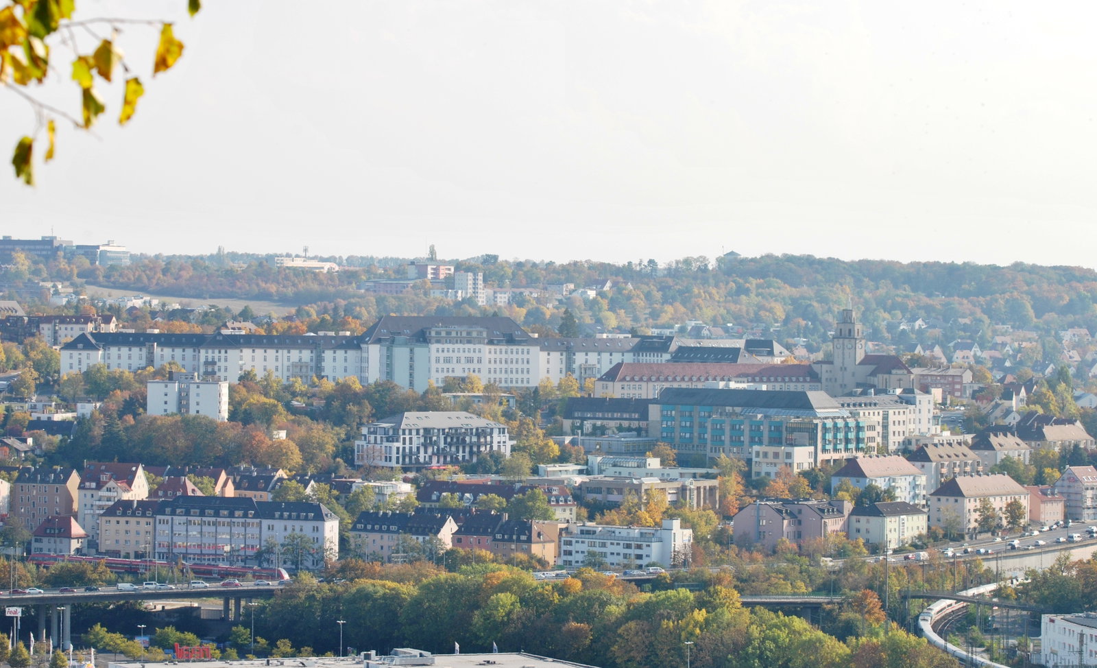 Frauenland district