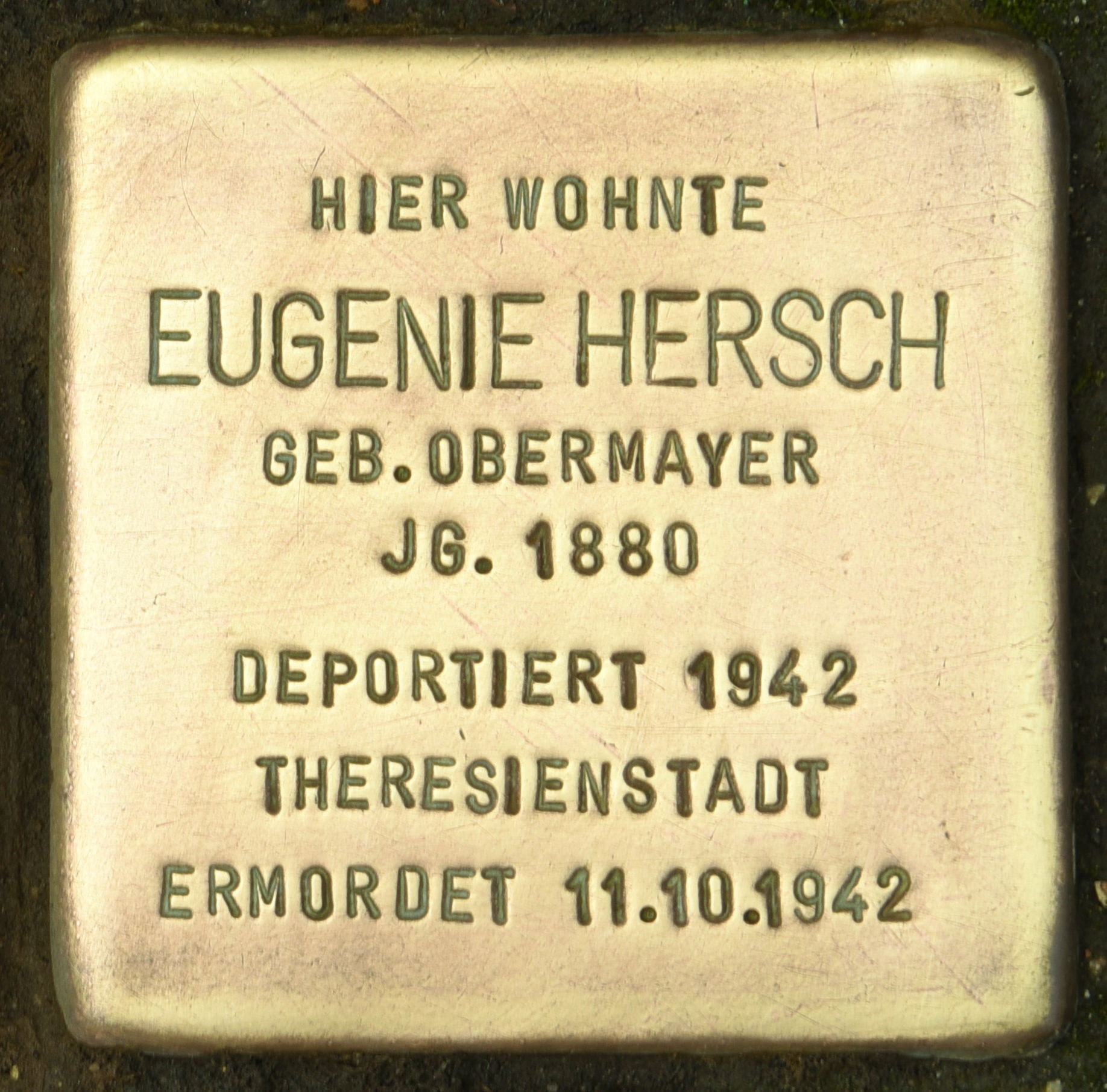 Stolperstein für Eugenie Hersch