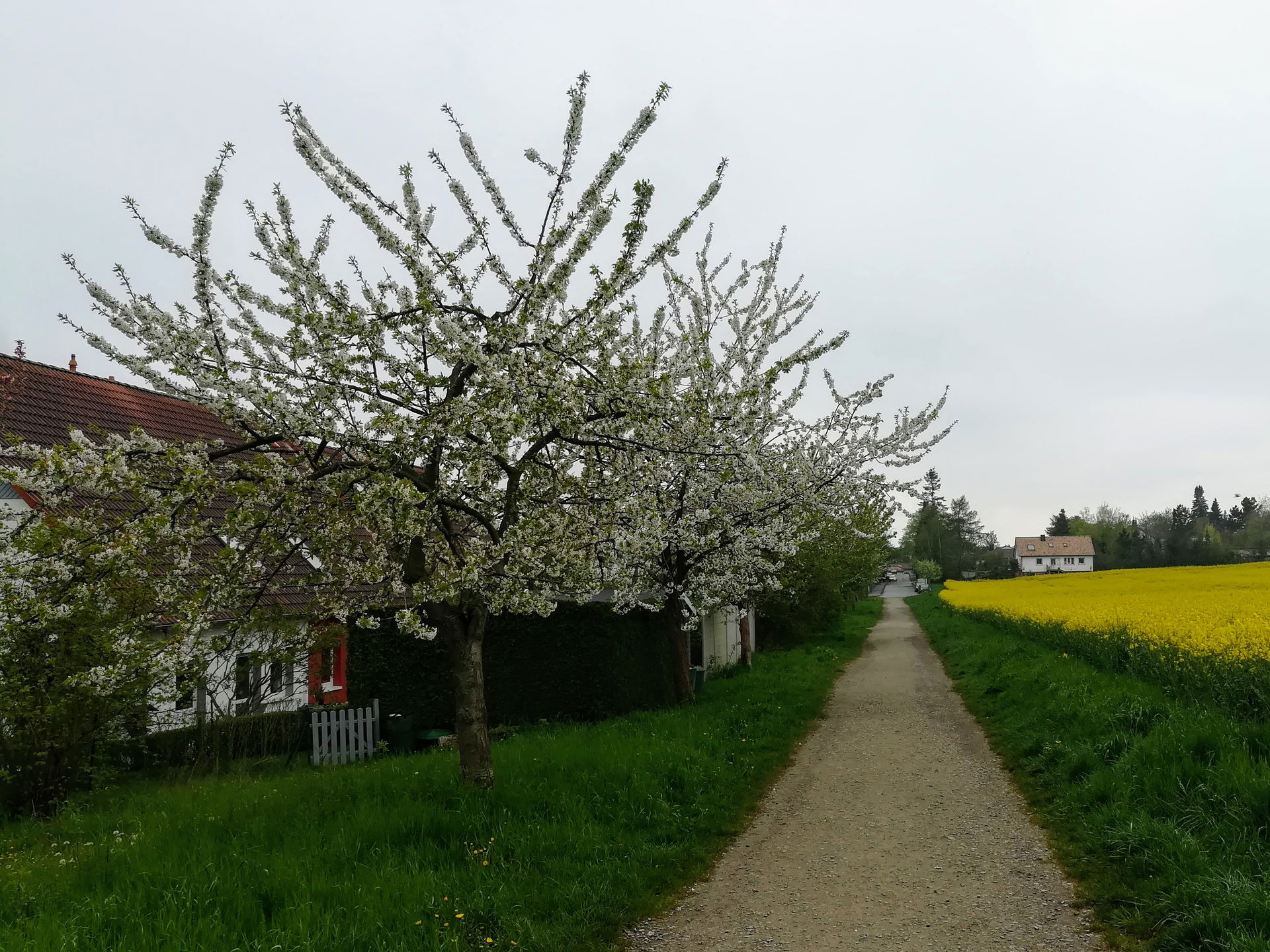 Nikolausberg view 2