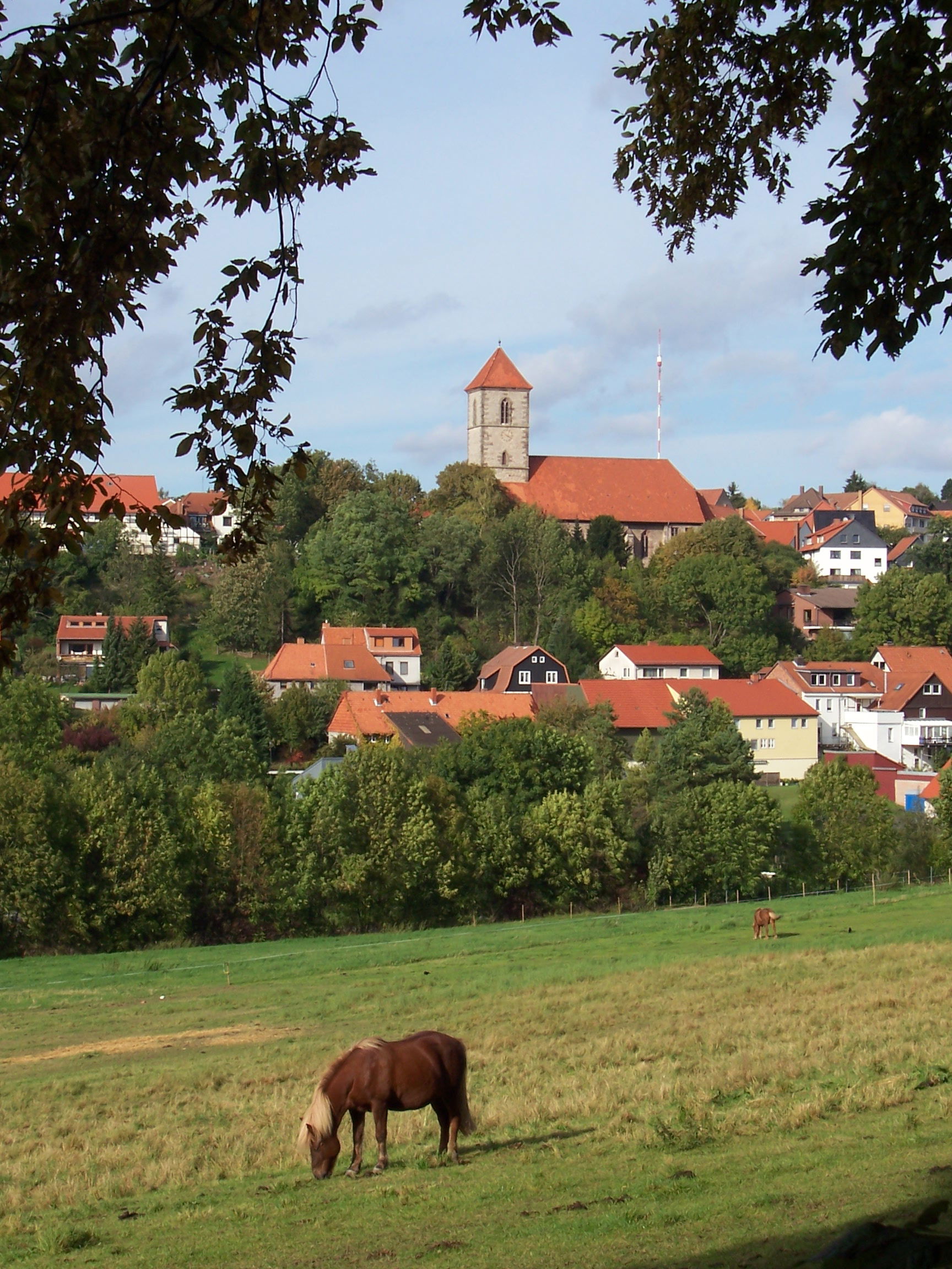 Nikolausberg view 3