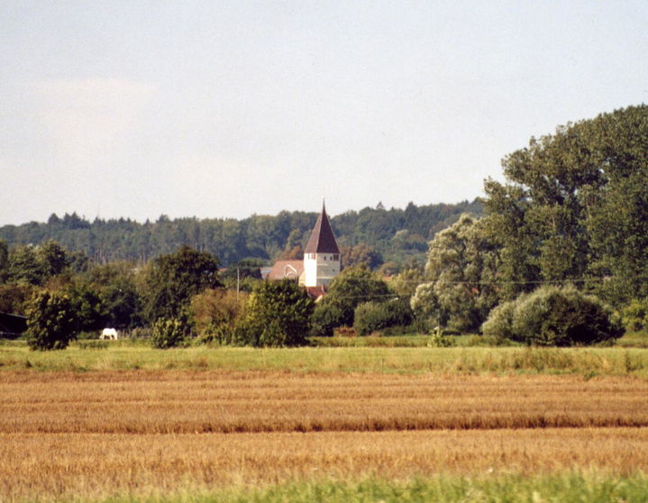 Sontheim district