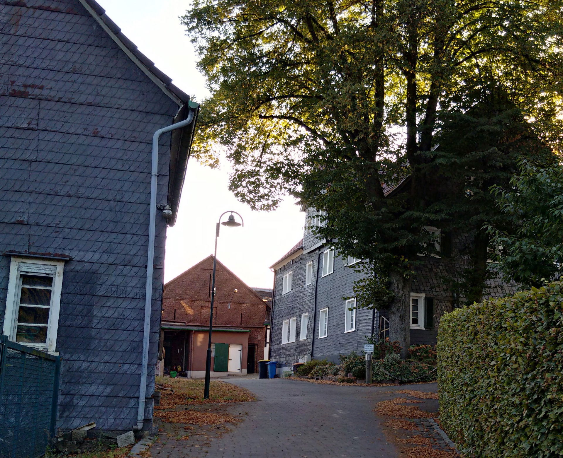 Eigen view 5