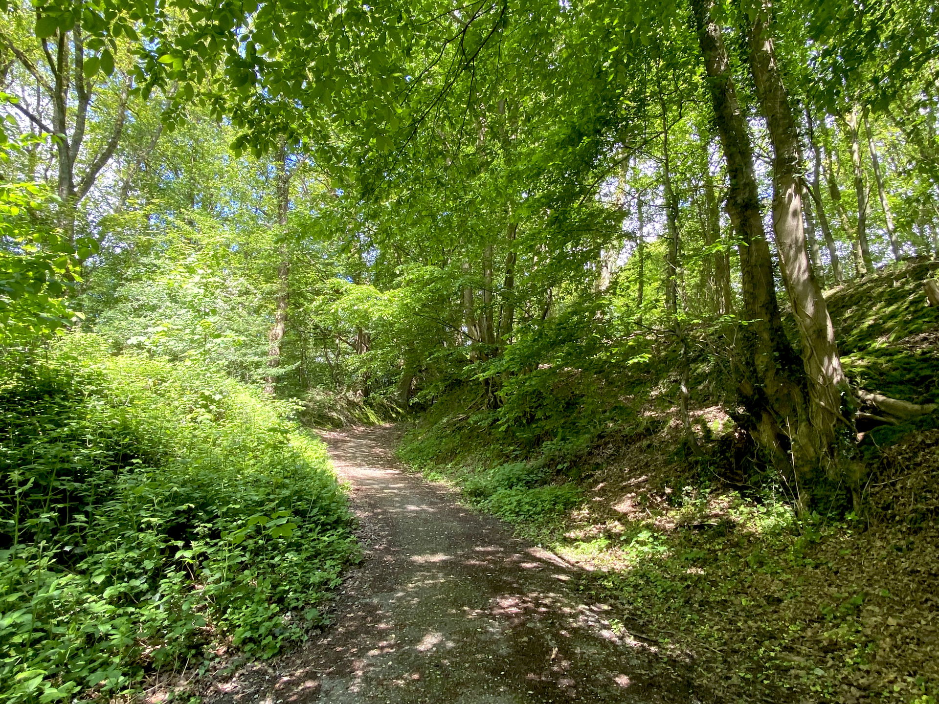 Naturschutzgebiet Ober der Lehmkuhle