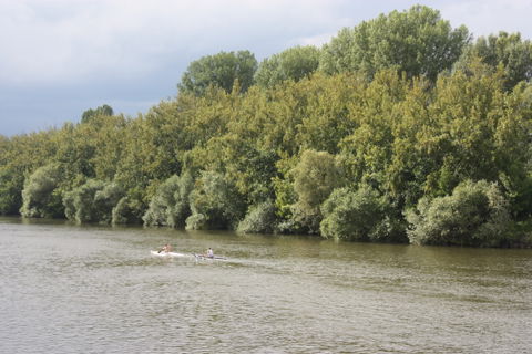 Rumpenheim view 2