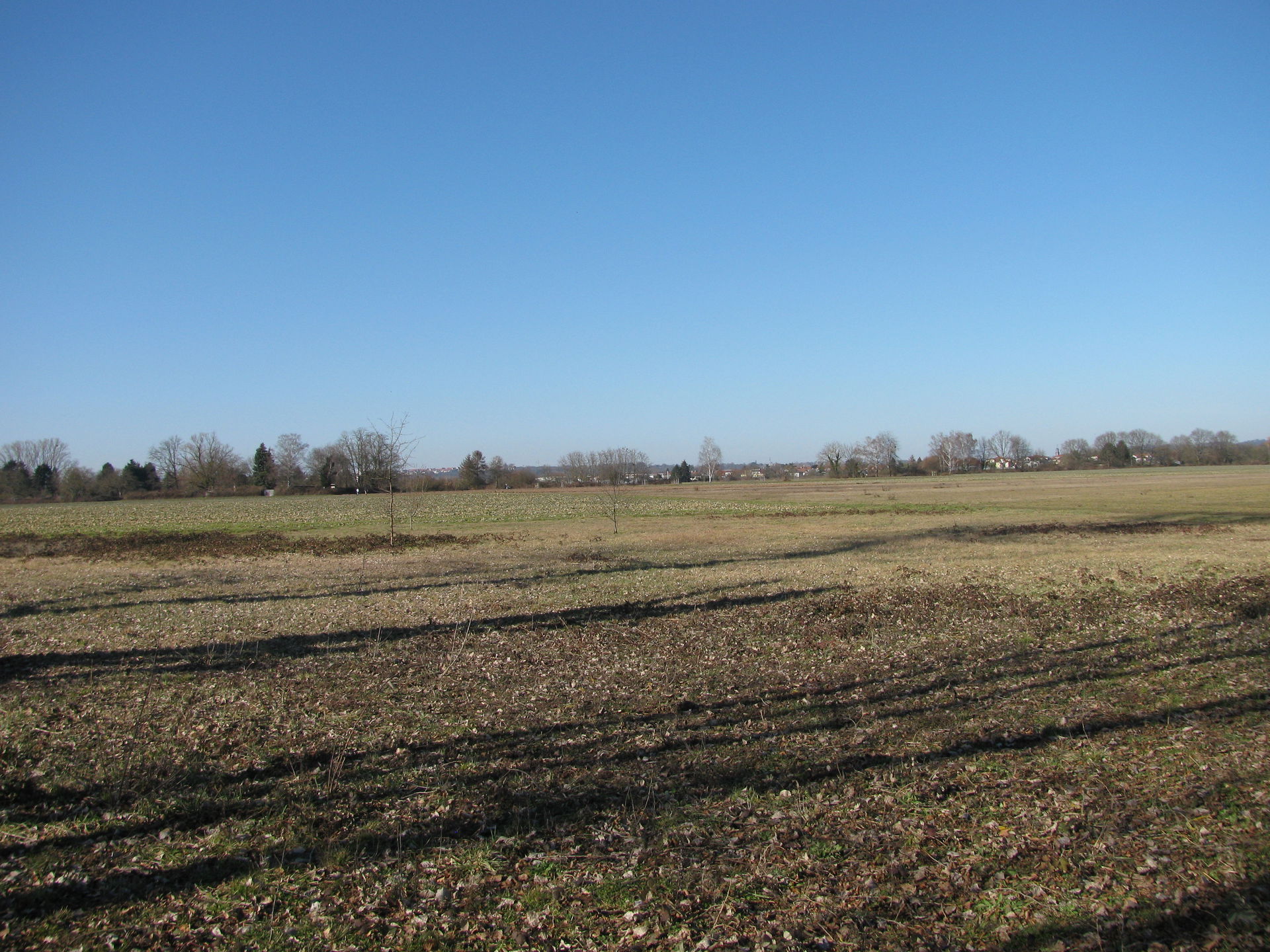 Blick in die südliche Feldmark von Rumpenheim