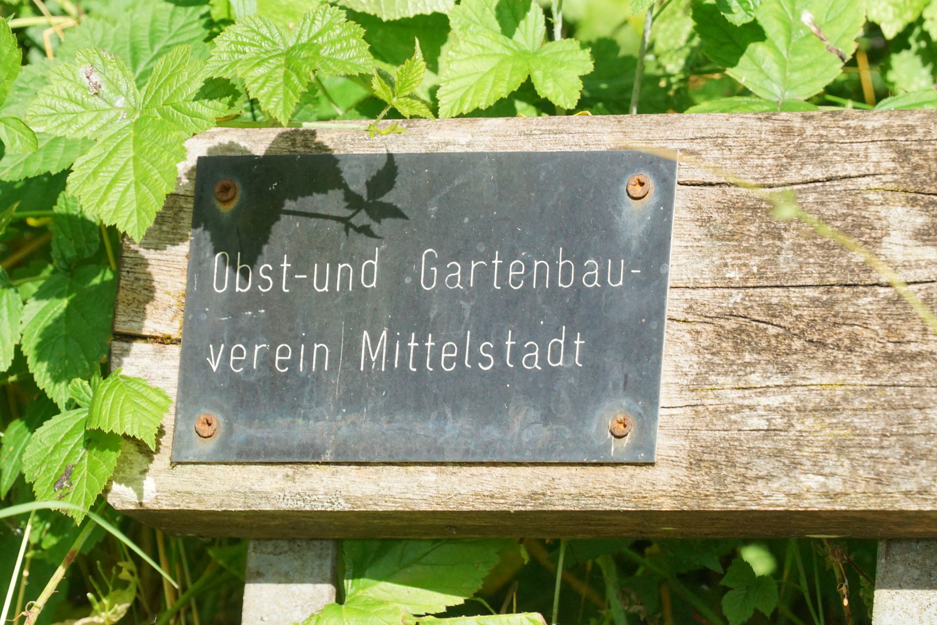 Mittelstadt view 5