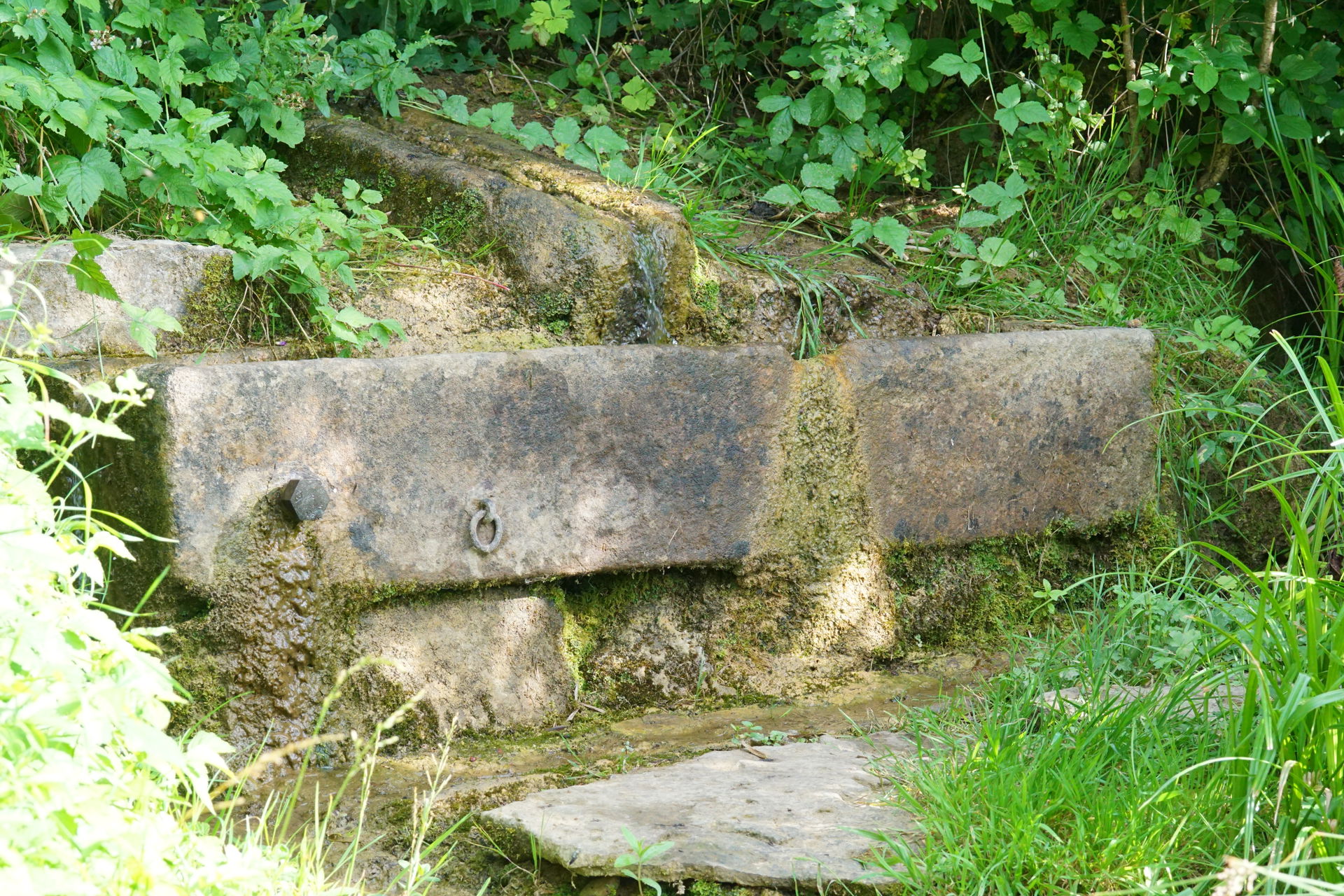 Mittelstadt view 2