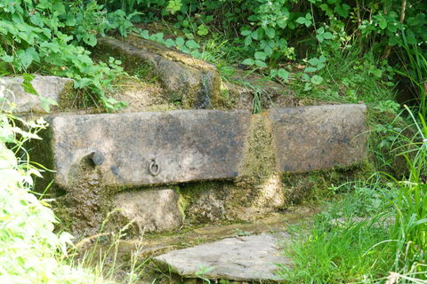 Mittelstadt view 2
