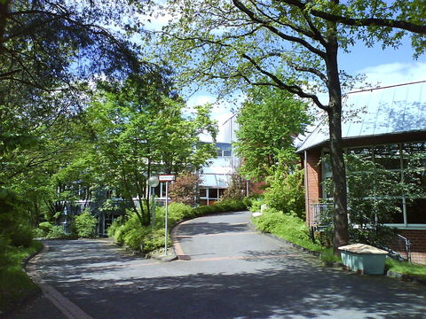 Geisweid view 2
