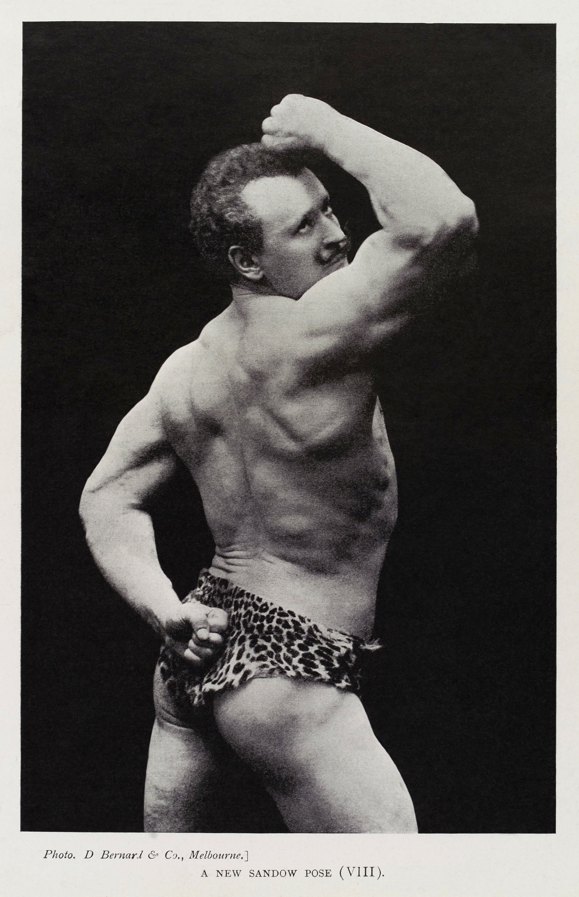 Sandow view 3