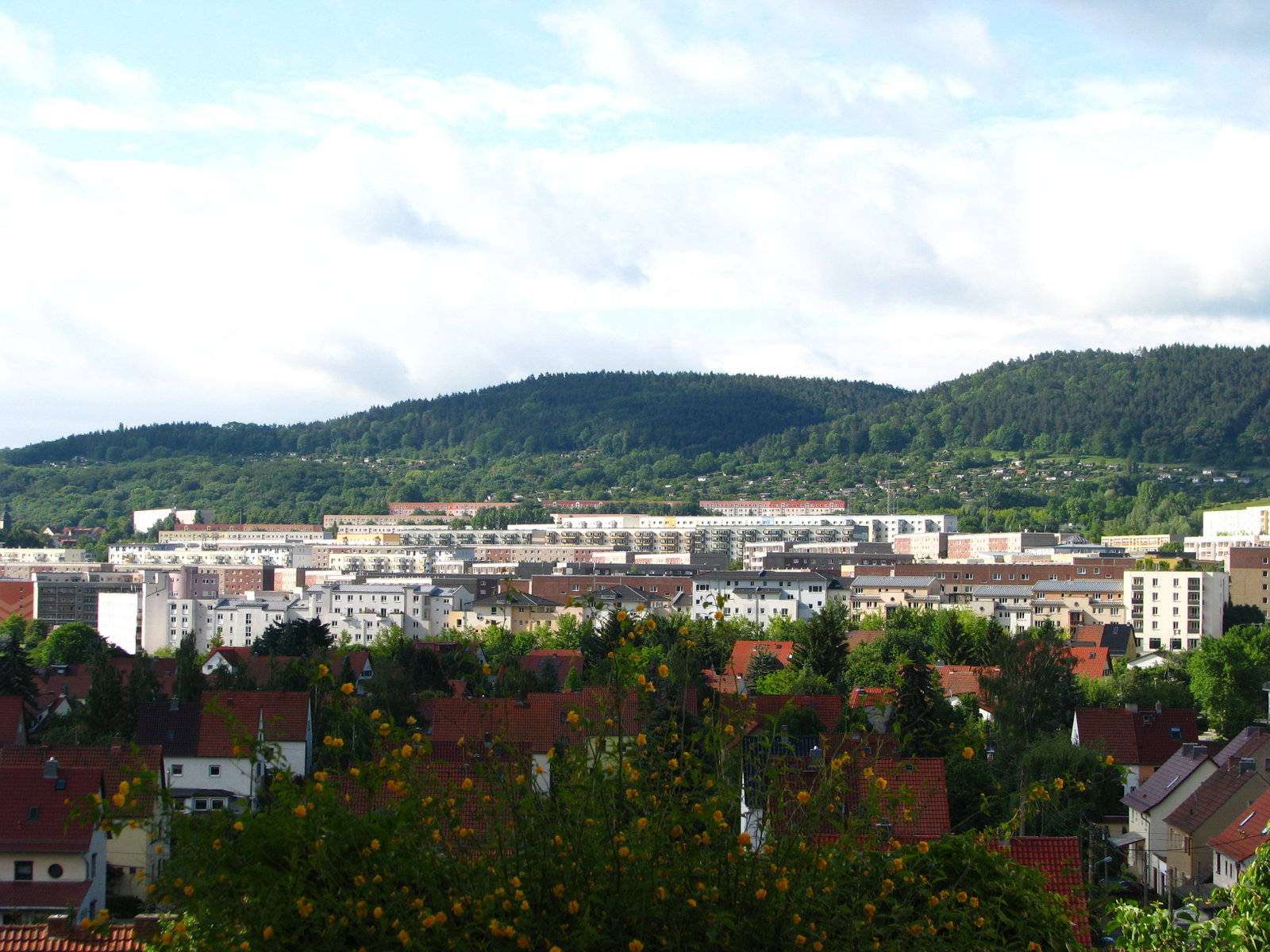 Winzerla district