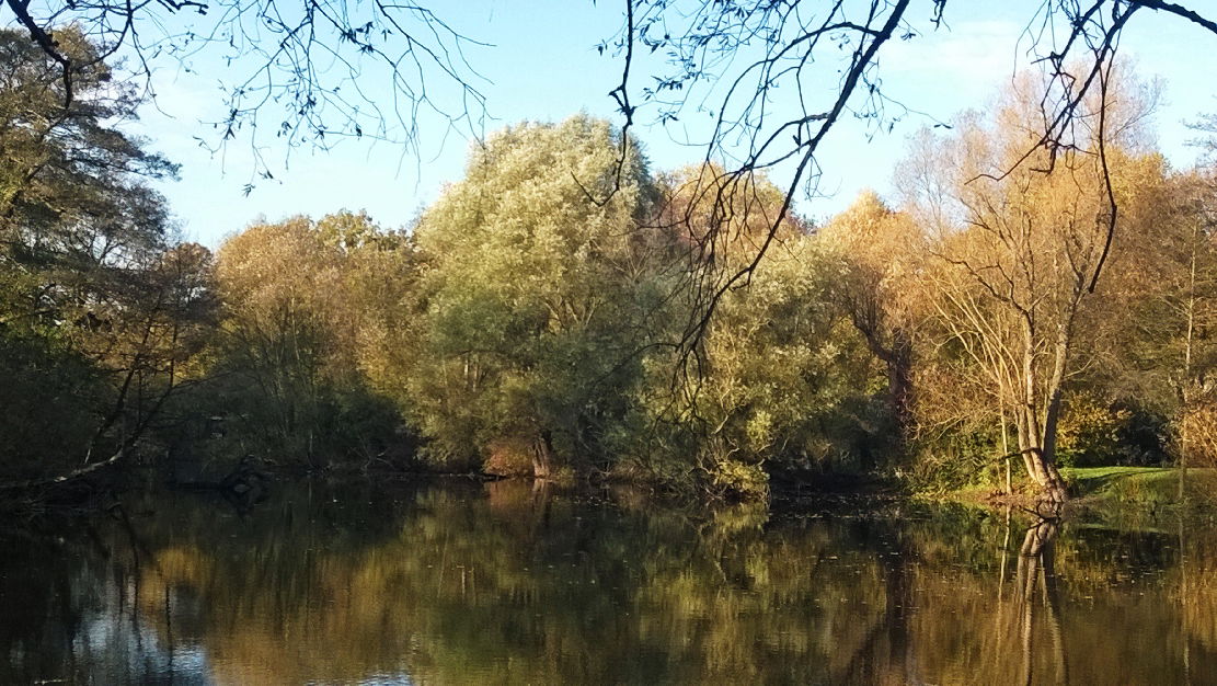 Nordstadt view 5