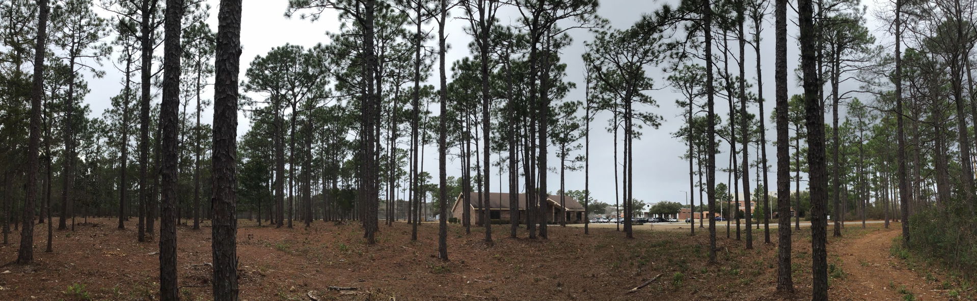 Cape Fear view 4