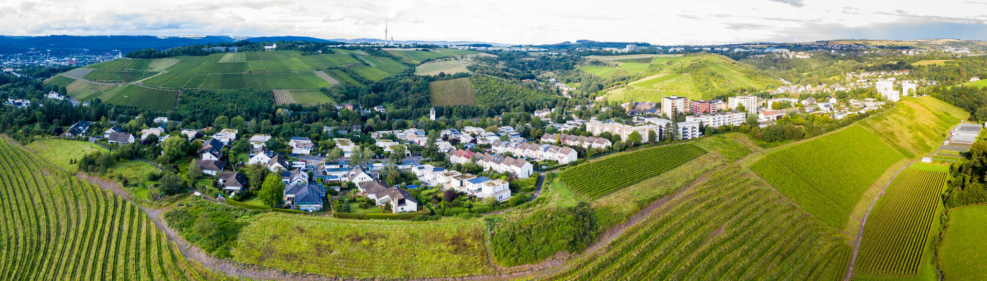 Olewig view 4