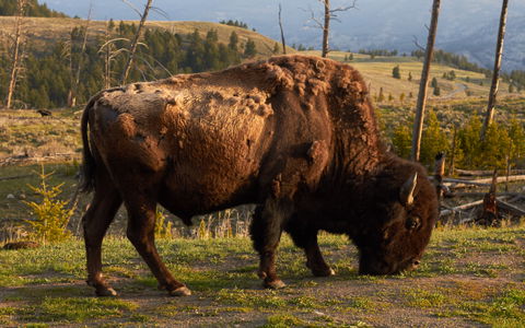 Wyoming view 3