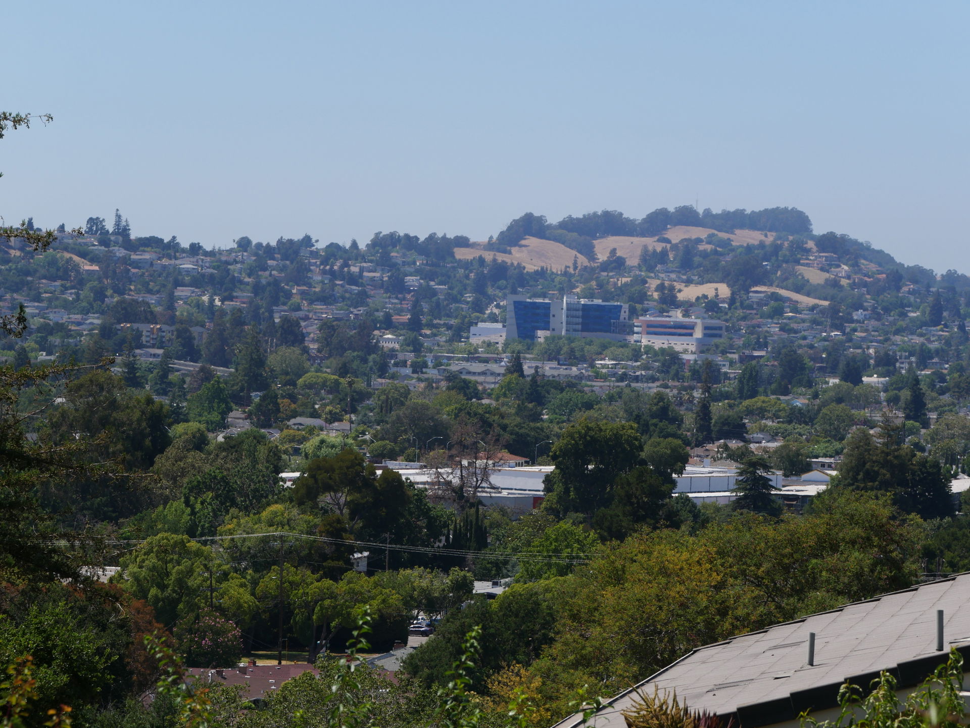 Hayward view 5