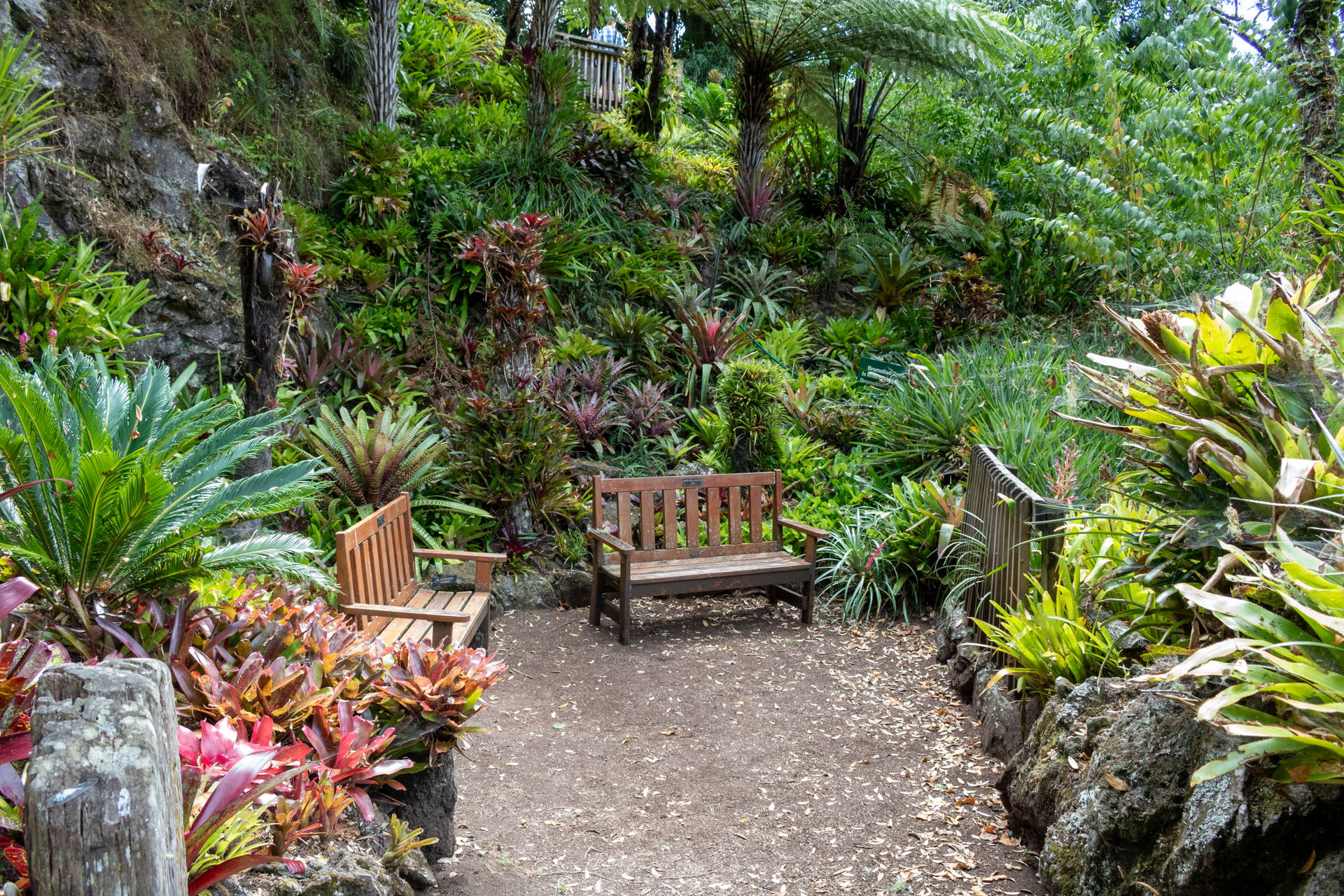 Eden Area view 2