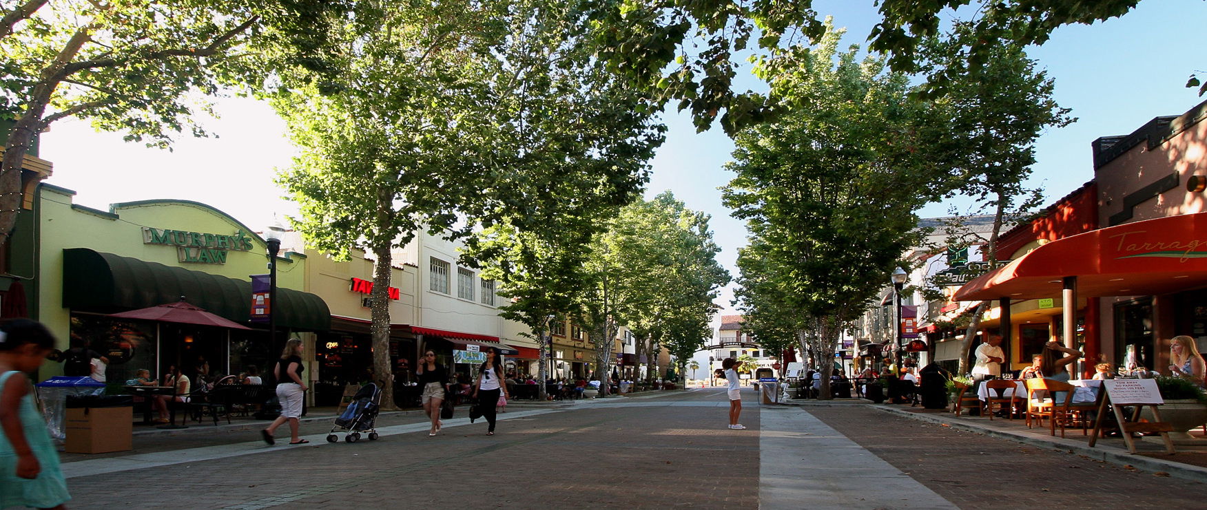 Sunnyvale view 4