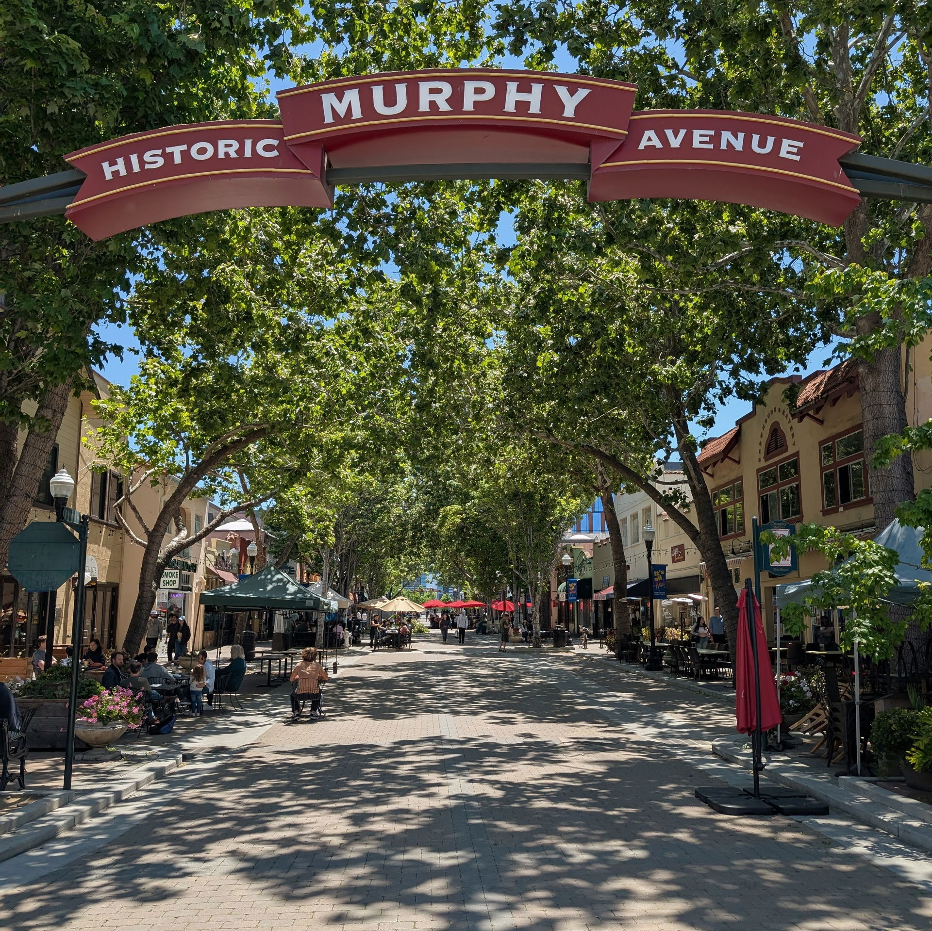 Murphy view 3